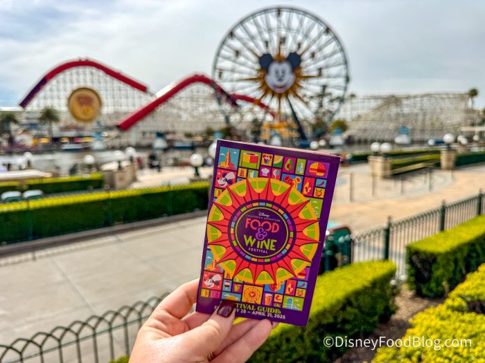 2025-dca-california-adventure-food-and-w