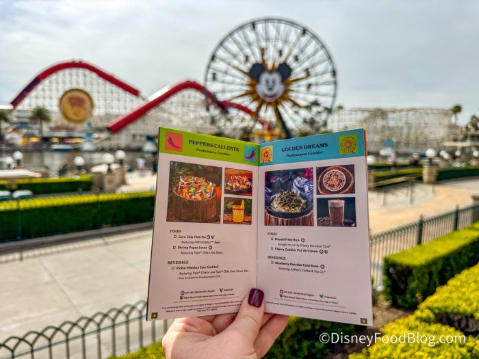 2025-dca-california-adventure-food-and-w