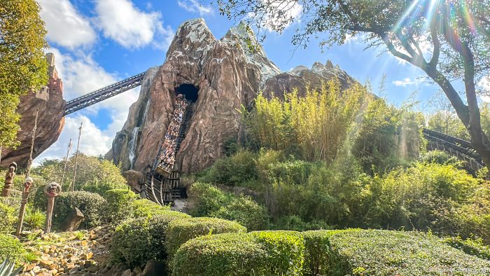 2025-wdw-dak-atmo-expedition-everest-rid