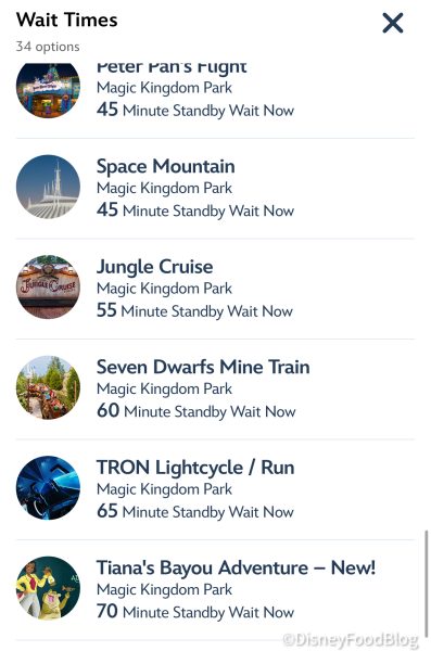 2025-wdw-mk-ride-wait-times-1-397x600.jp