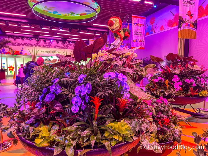 2025-wdw-epcot-flower-and-garden-festiva