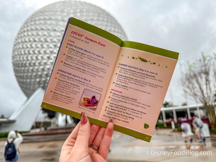 2025-wdw-epcot-flower-and-garden-festiva