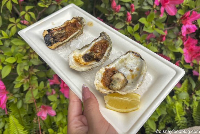 DFB-Grilled-Gulf-Oysters-Magnolia-Terrac