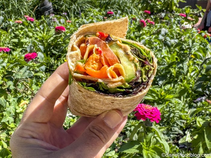 DFB-Mediterranean-Vegetable-Wrap-Land-Ca