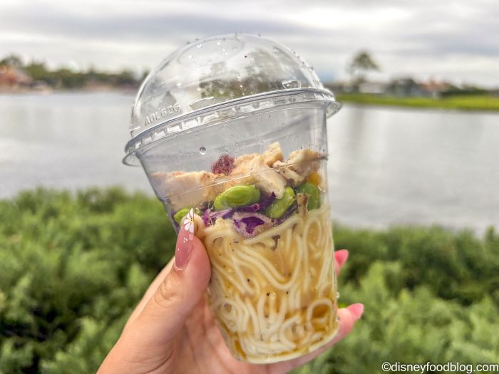 DFB-Ramen-Cup-Hanami-Booth-2025-EPCOT-Fl