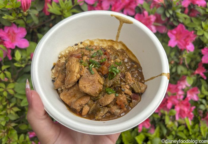 DFB-Spicy-Chicken-Gumbo-Magnolia-Terrace